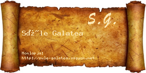 Süle Galatea névjegykártya